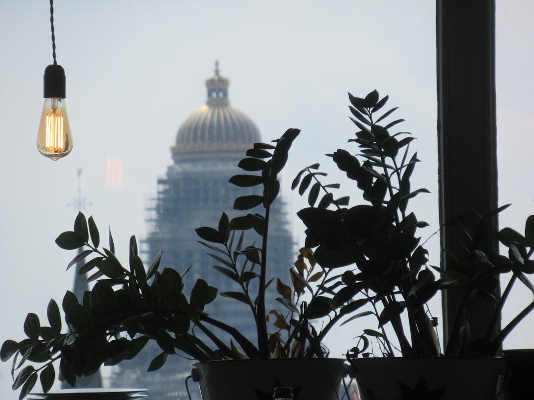 Bright modern office reception with plants near Brussels